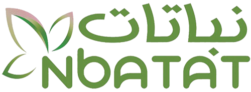 Nbatat Logo