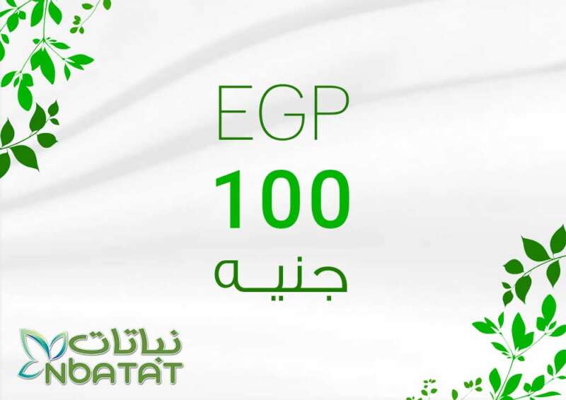كارت دفع بقيمة 100 جنيه