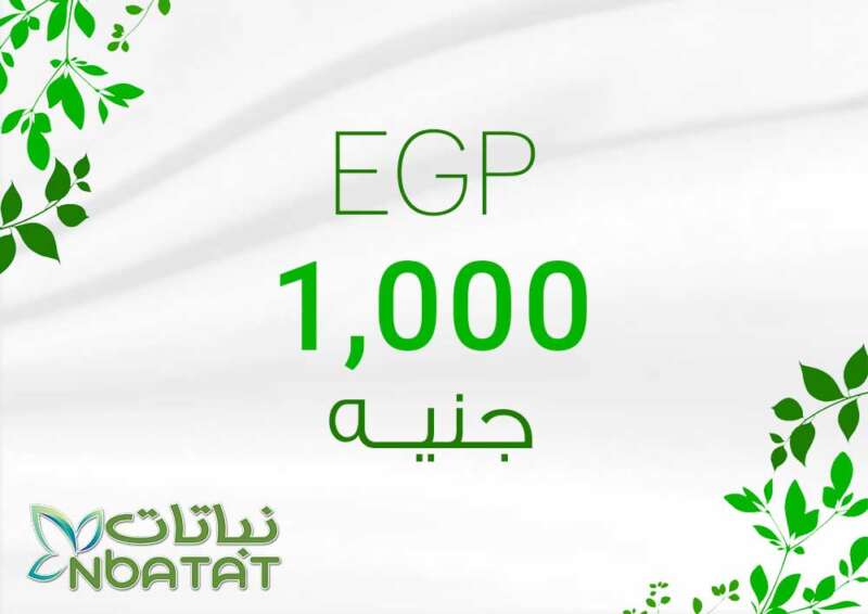 1000 EGP Payment Card