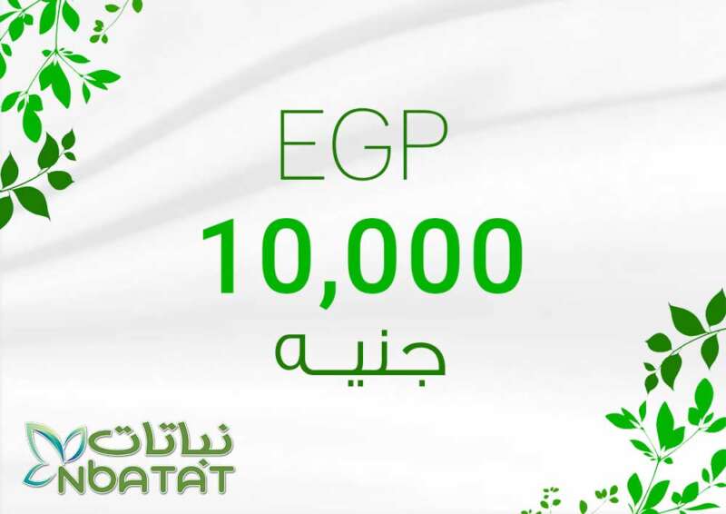 10000 EGP Payment Card