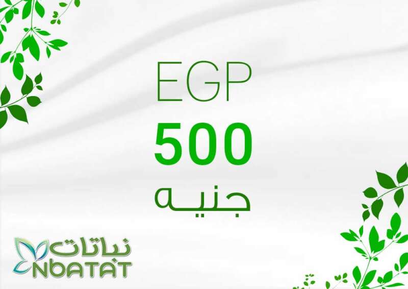 500 EGP Payment Card
