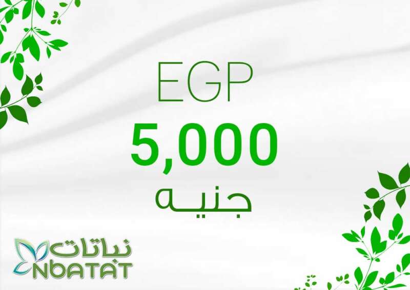 5000 EGP Payment Card