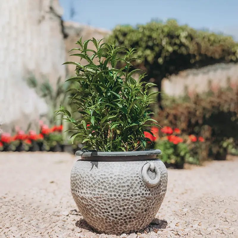 poettry pot with hands gray color شالية فخار مزخرفة و بيد 1