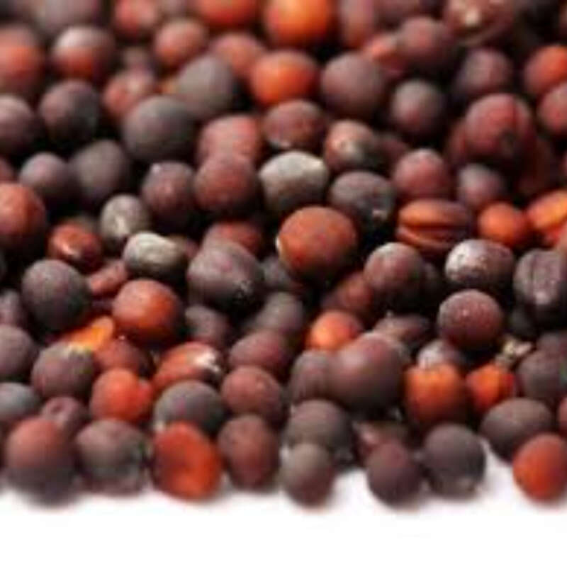 Natural Cabbage Seeds